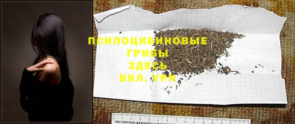индика Армянск