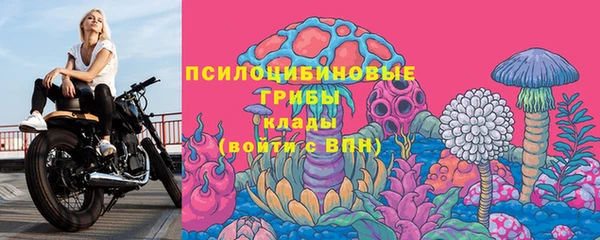 индика Армянск