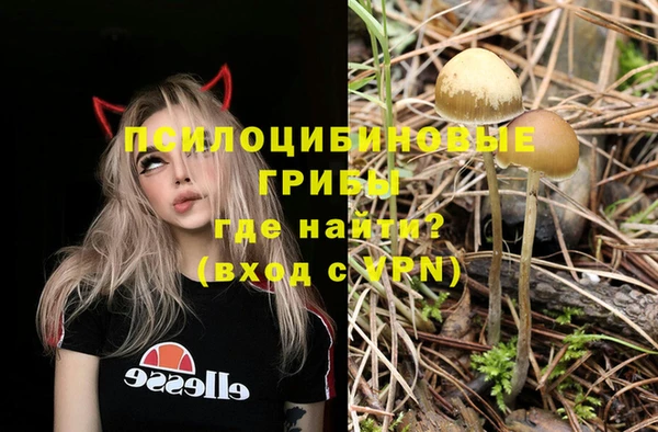 индика Армянск