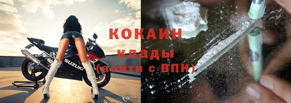 индика Армянск