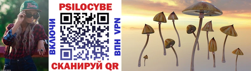 наркошоп  Тавда  Галлюциногенные грибы Cubensis 